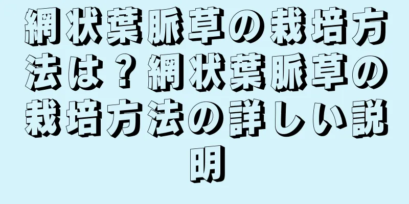 網状葉脈草の栽培方法は？網状葉脈草の栽培方法の詳しい説明