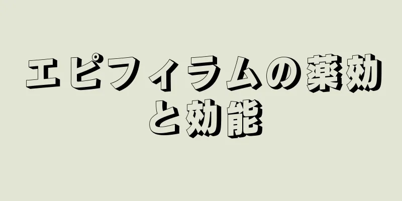 エピフィラムの薬効と効能