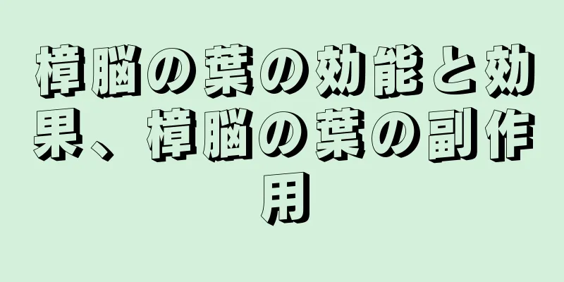 樟脳の葉の効能と効果、樟脳の葉の副作用