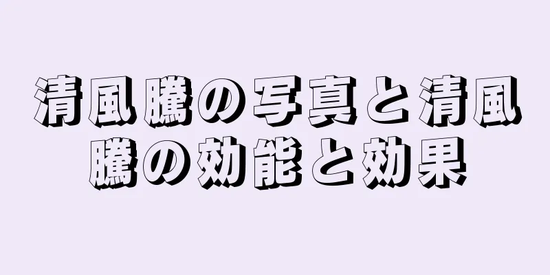 清風騰の写真と清風騰の効能と効果
