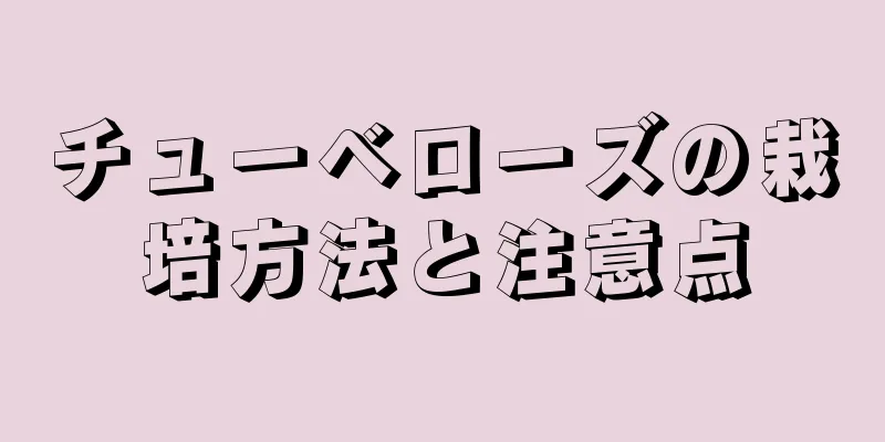 チューベローズの栽培方法と注意点
