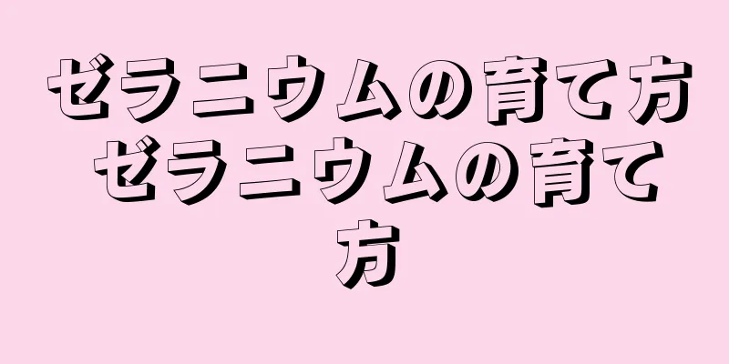 ゼラニウムの育て方 ゼラニウムの育て方