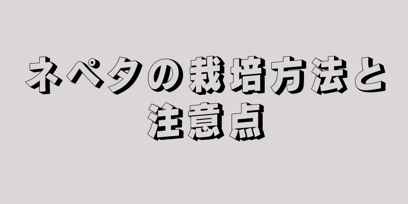 ネペタの栽培方法と注意点