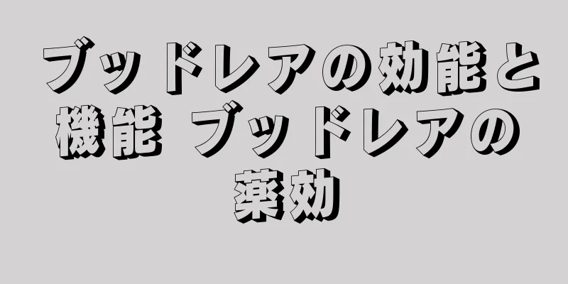 ブッドレアの効能と機能 ブッドレアの薬効