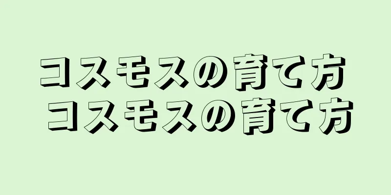 コスモスの育て方 コスモスの育て方