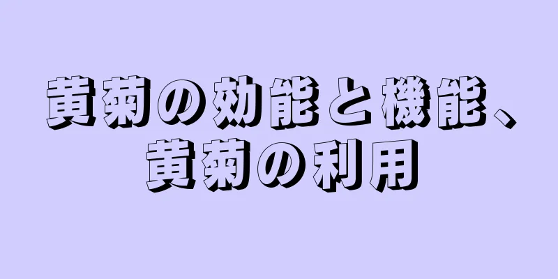 黄菊の効能と機能、黄菊の利用