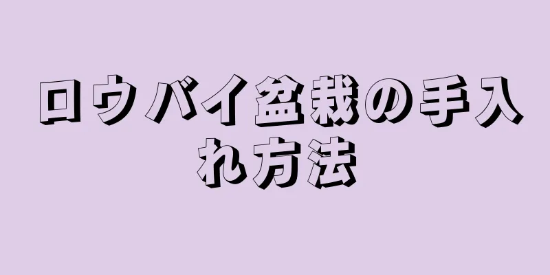ロウバイ盆栽の手入れ方法