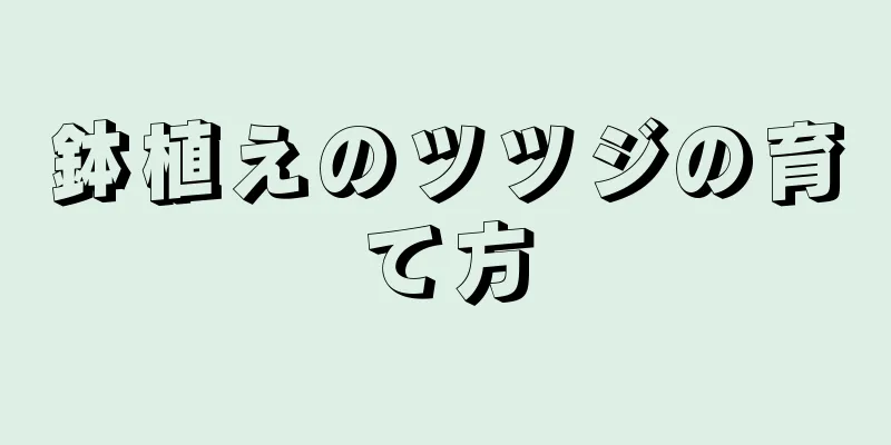鉢植えのツツジの育て方
