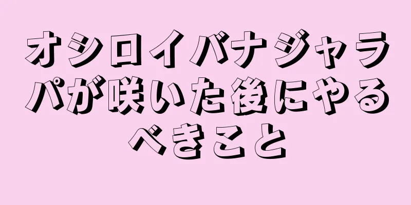 オシロイバナジャラパが咲いた後にやるべきこと