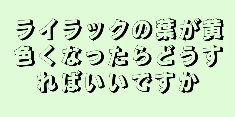 ライラックの葉が黄色くなったらどうすればいいですか
