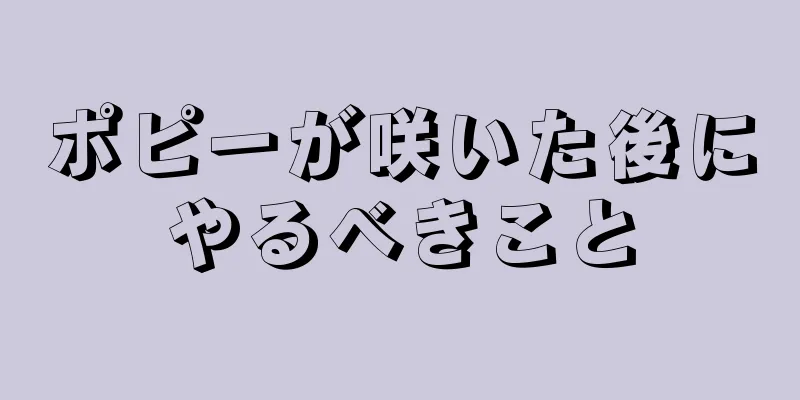 ポピーが咲いた後にやるべきこと
