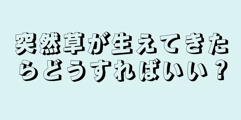 突然草が生えてきたらどうすればいい？