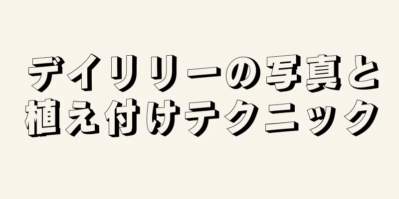 デイリリーの写真と植え付けテクニック