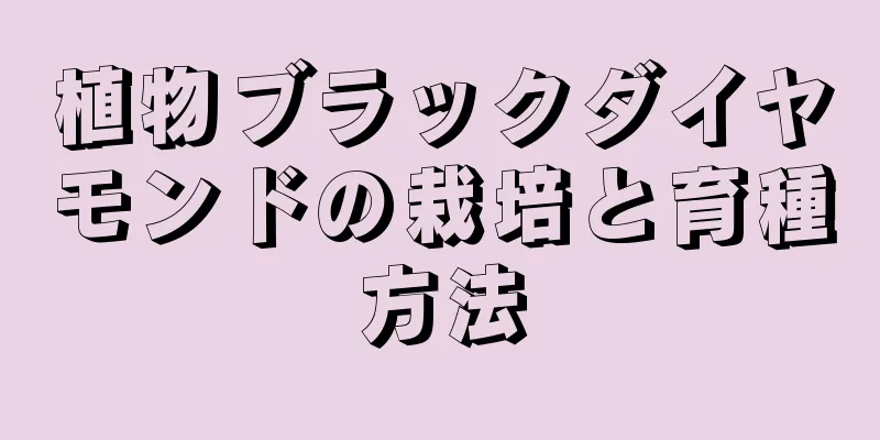 植物ブラックダイヤモンドの栽培と育種方法