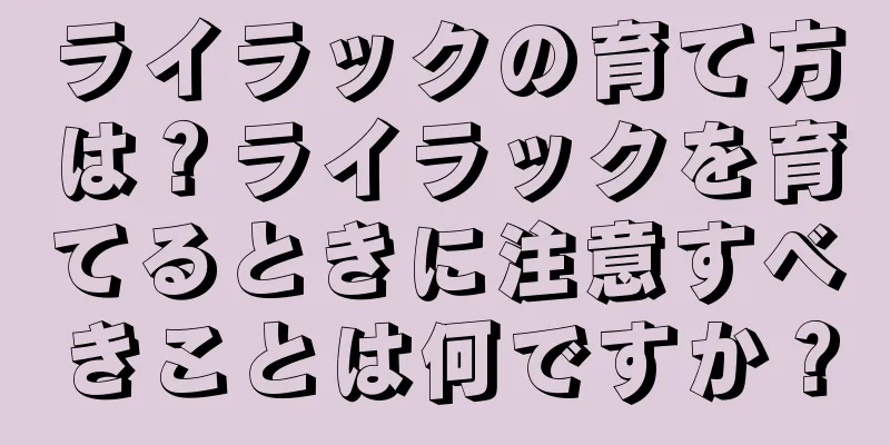 ライラックの育て方は？ライラックを育てるときに注意すべきことは何ですか？