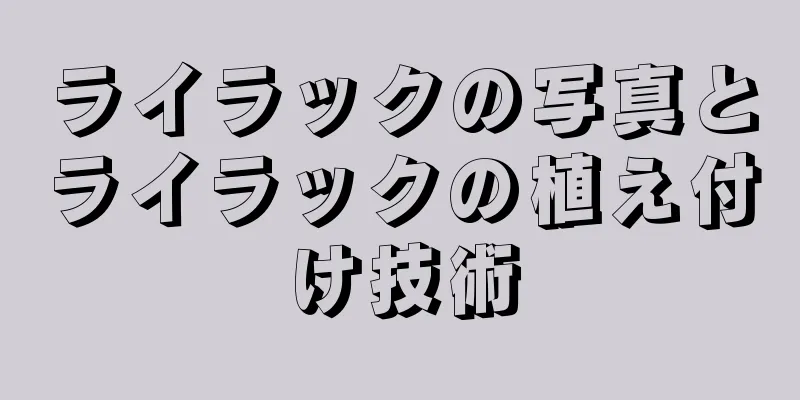 ライラックの写真とライラックの植え付け技術