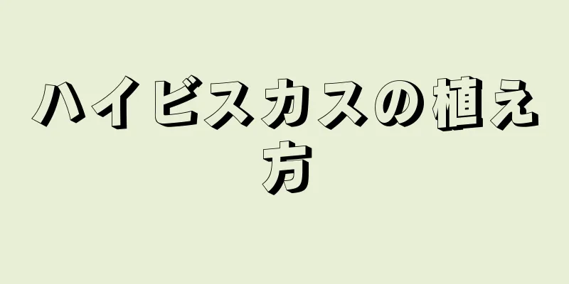 ハイビスカスの植え方