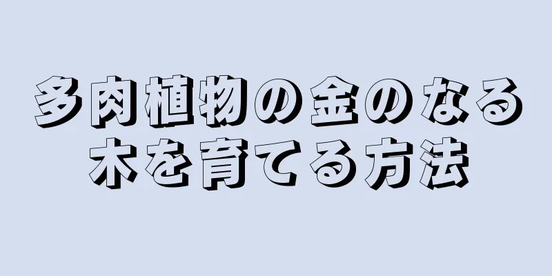 多肉植物の金のなる木を育てる方法