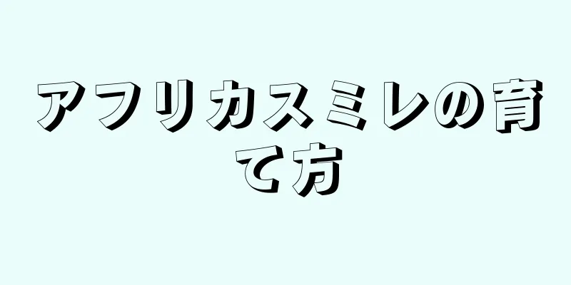 アフリカスミレの育て方