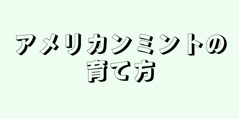 アメリカンミントの育て方
