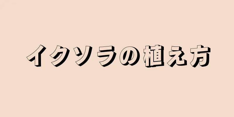 イクソラの植え方