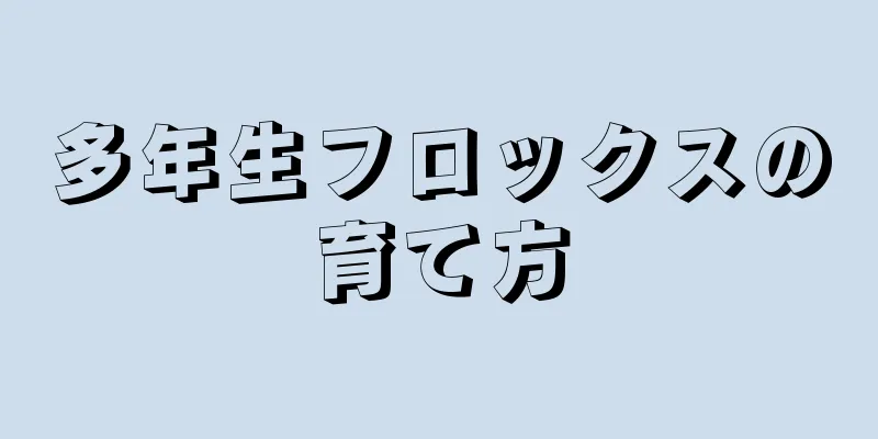 多年生フロックスの育て方