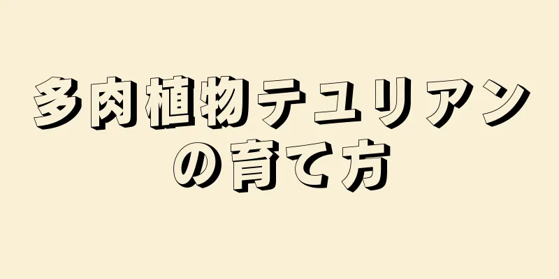 多肉植物テユリアンの育て方