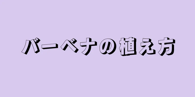バーベナの植え方