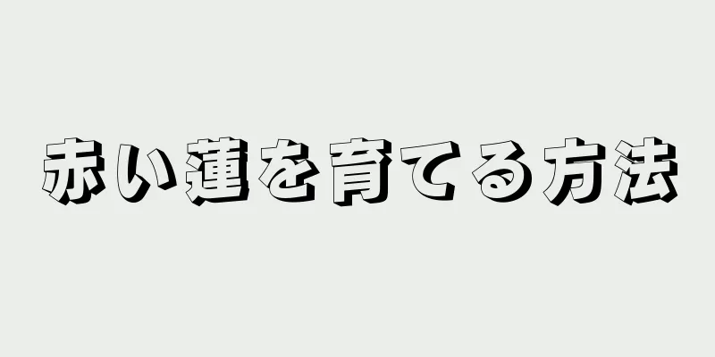 赤い蓮を育てる方法