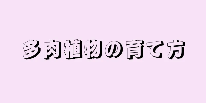 多肉植物の育て方