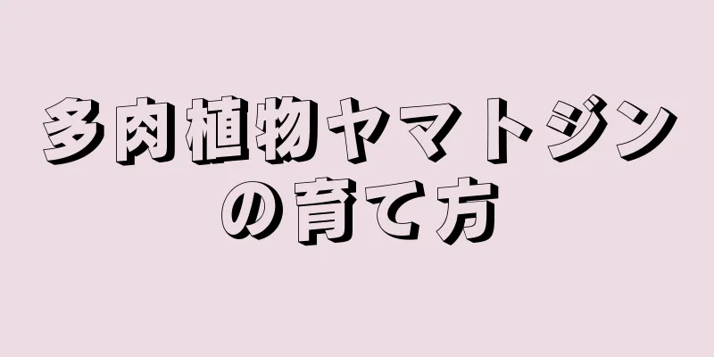 多肉植物ヤマトジンの育て方