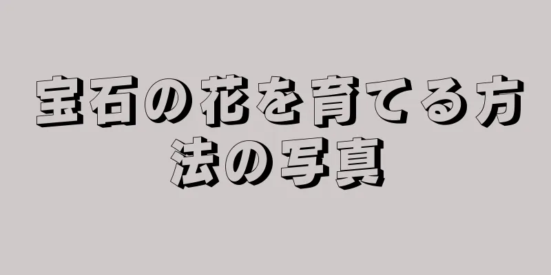 宝石の花を育てる方法の写真