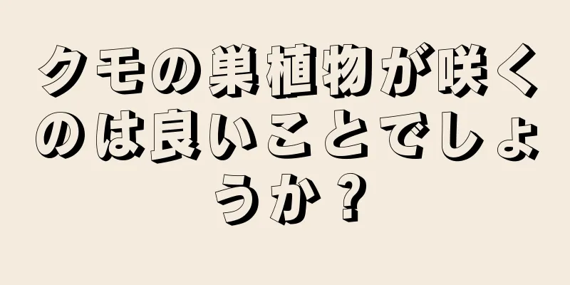クモの巣植物が咲くのは良いことでしょうか？