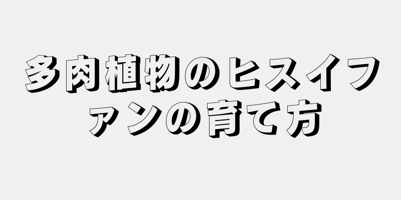 多肉植物のヒスイファンの育て方