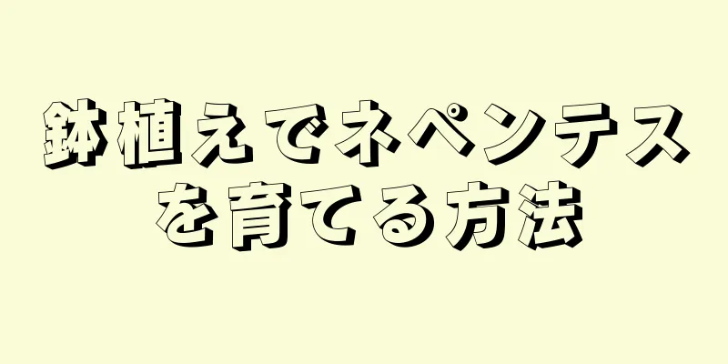 鉢植えでネペンテスを育てる方法