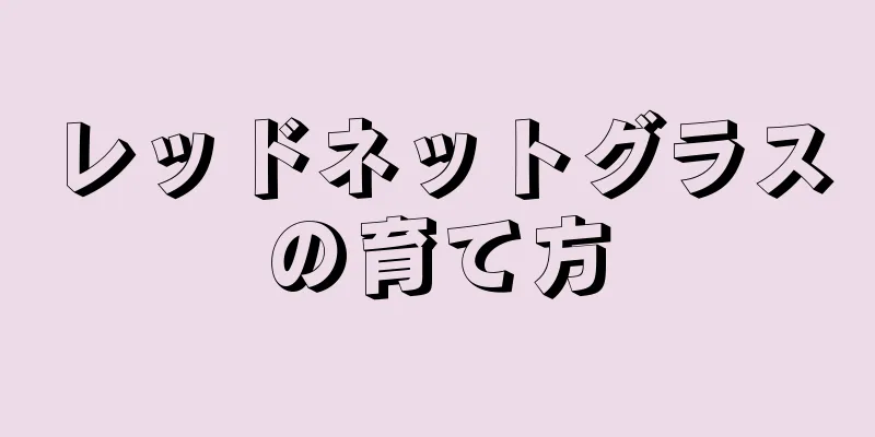 レッドネットグラスの育て方