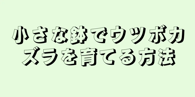 小さな鉢でウツボカズラを育てる方法