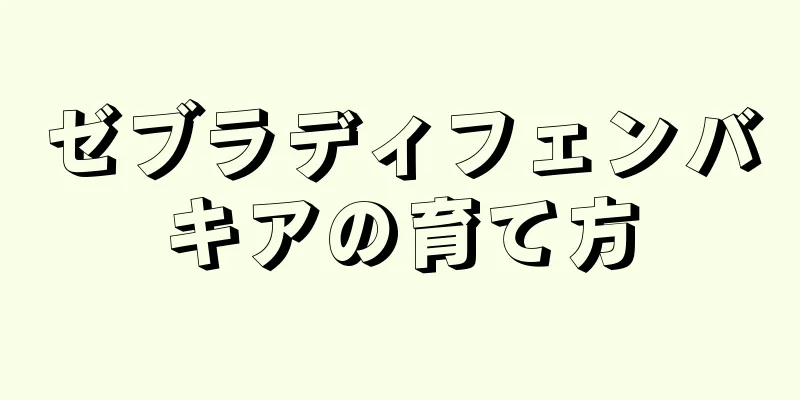 ゼブラディフェンバキアの育て方