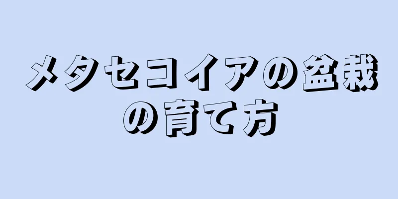 メタセコイアの盆栽の育て方