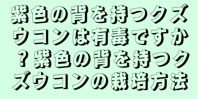 紫色の背を持つクズウコンは有毒ですか？紫色の背を持つクズウコンの栽培方法