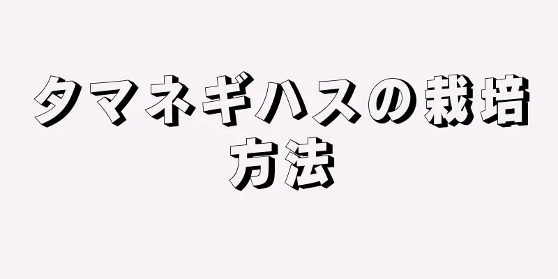 タマネギハスの栽培方法