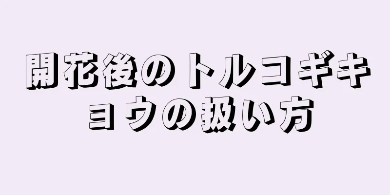 開花後のトルコギキョウの扱い方