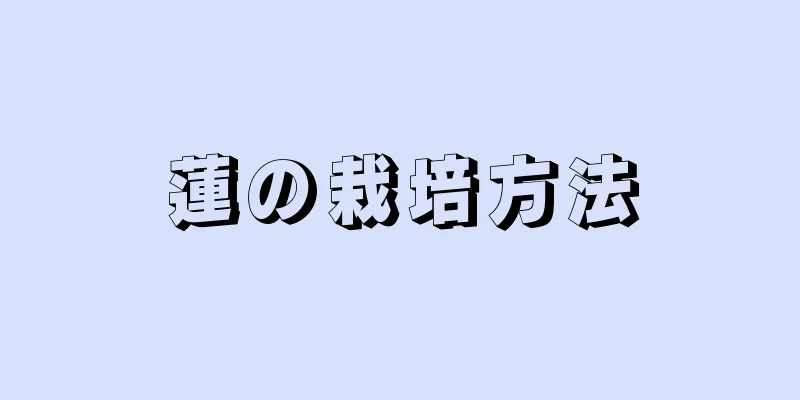 蓮の栽培方法