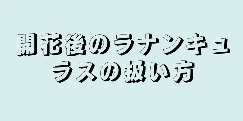 開花後のラナンキュラスの扱い方