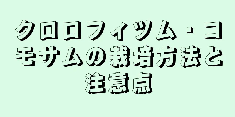 クロロフィツム・コモサムの栽培方法と注意点