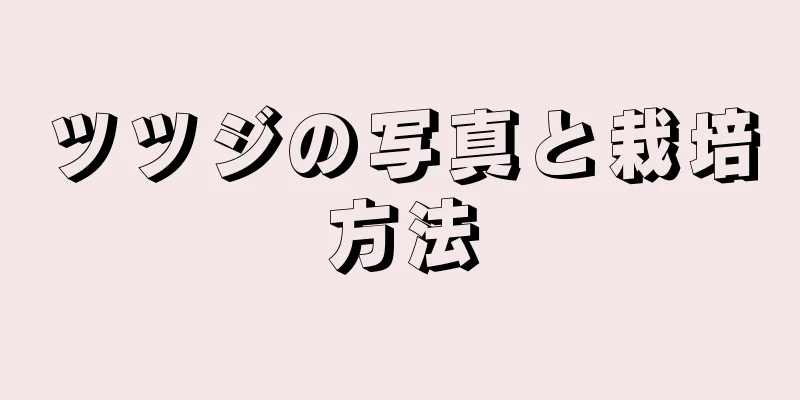 ツツジの写真と栽培方法