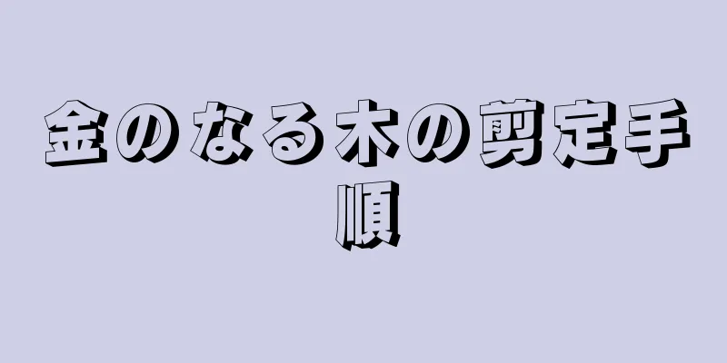 金のなる木の剪定手順
