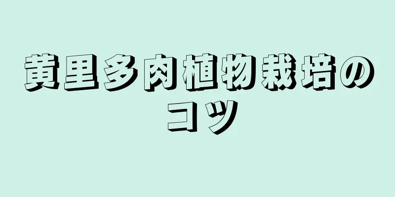 黄里多肉植物栽培のコツ