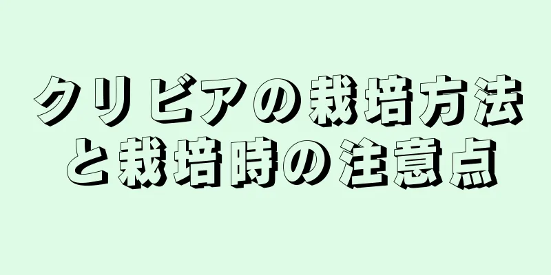 クリビアの栽培方法と栽培時の注意点