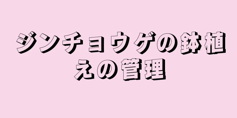 ジンチョウゲの鉢植えの管理